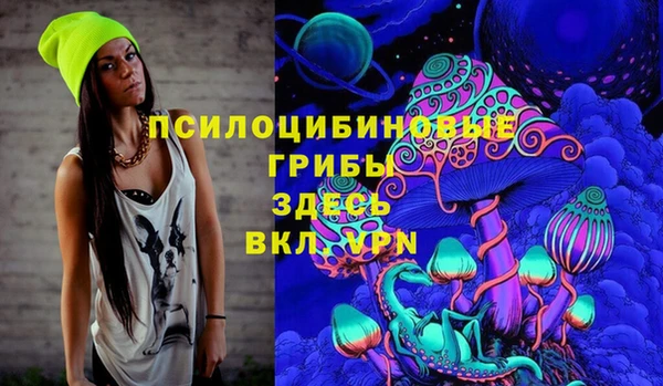 МДПВ Бронницы