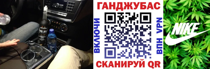 Шишки марихуана сатива  где продают наркотики  Нерюнгри 